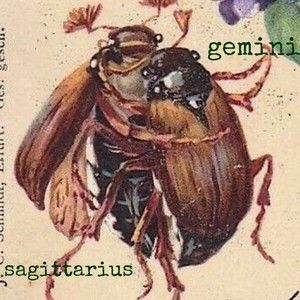 Meet your Posher, Stacie